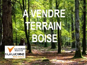 terrain de loisirs à la vente -   56130  FEREL, surface 3450 m2 vente terrain de loisirs - UBI464640131